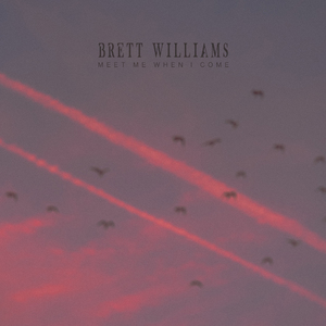 国产成人在线视频网站
